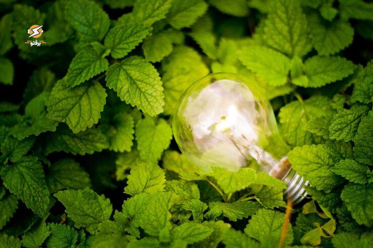 انرژی سبز چیست؟